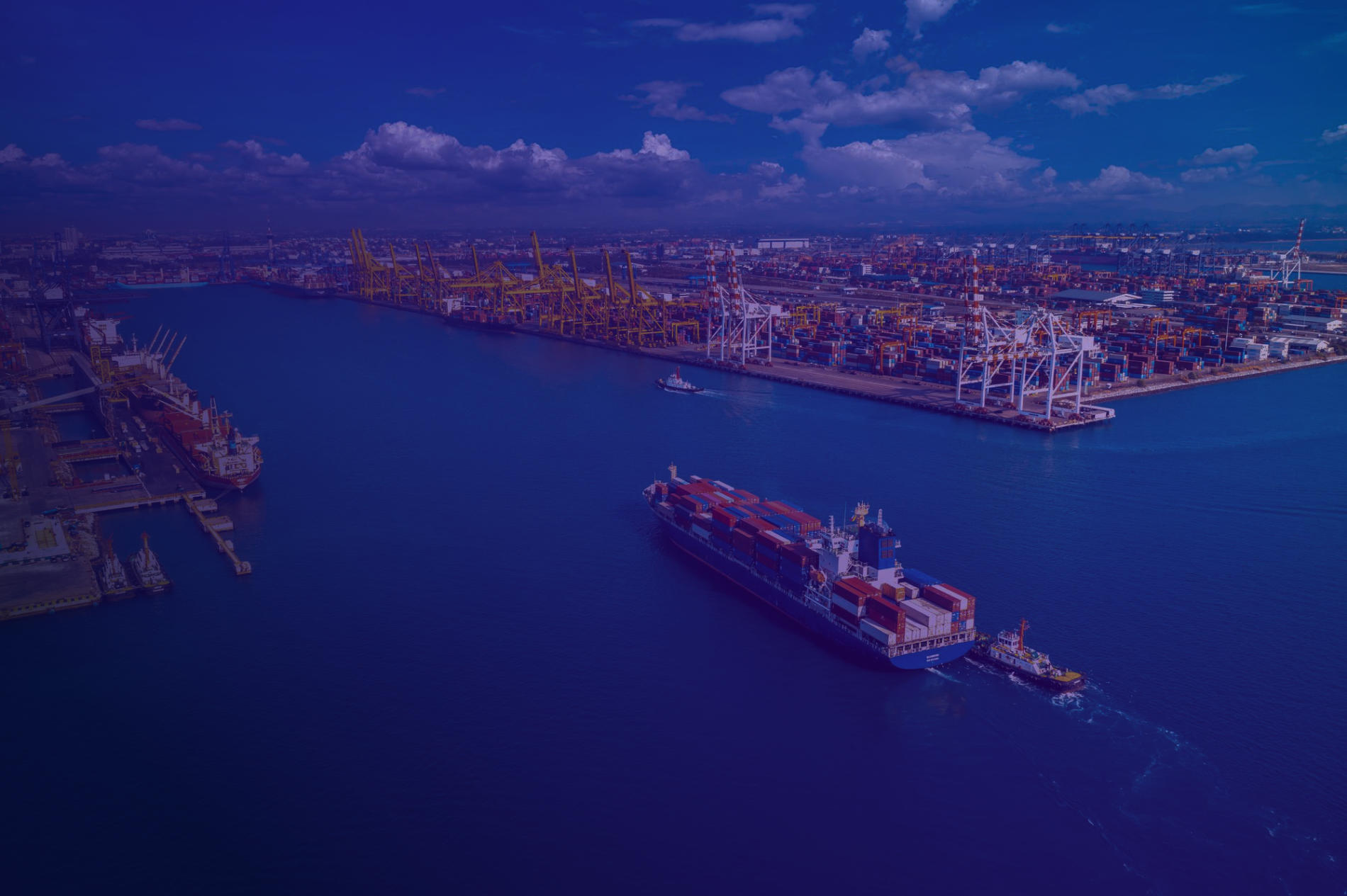 Datacomm Healthcare Solution